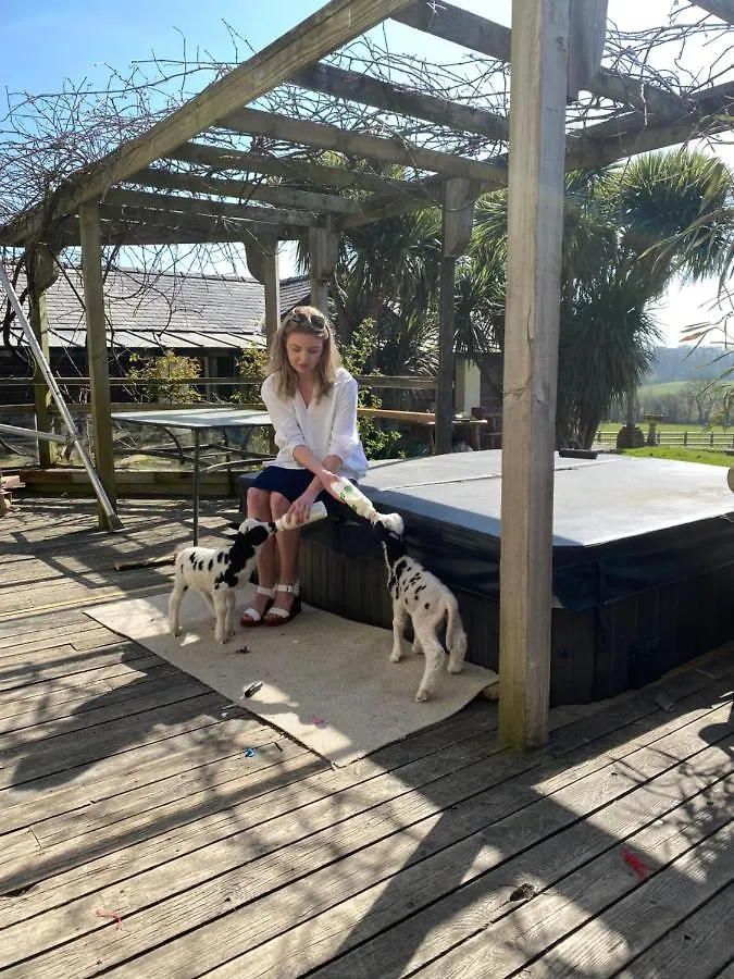 The Deerview Lodge Cardiff Holiday home